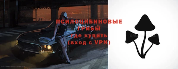 ПСИЛОЦИБИНОВЫЕ ГРИБЫ Богородск