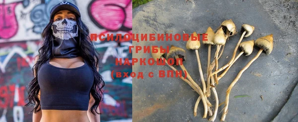 мет Богородицк